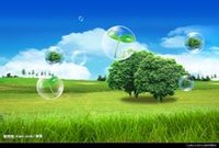 ��̬����